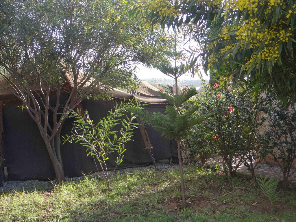 Bed and Breakfast Douar Noujoum Essaouira Exterior foto